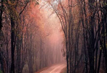 球队经历波折,状态回归向好——从低谷到新生的真实故事