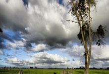 国际米兰球队备受瞩目，展望未来比赛