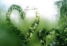 开拓者再胜对手，实力逐渐崛起！