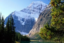 美国男篮再次称霸世界，成功卫冕冠军