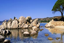 江苏队全员体检备战新赛季首战